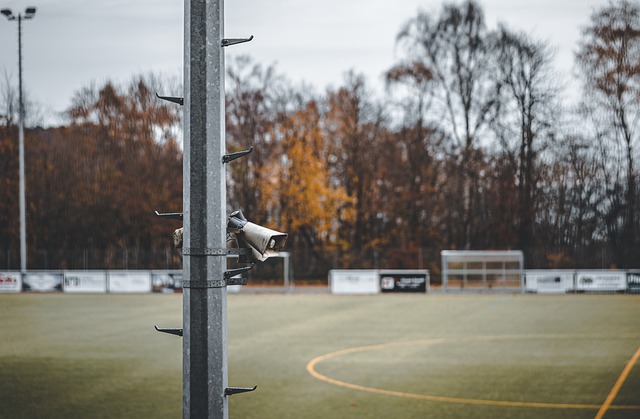 赛中的表现 赛中的表现