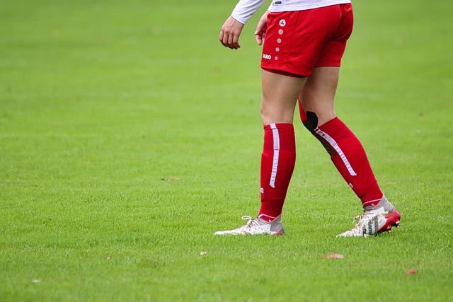 他们能掌握 他们能掌握