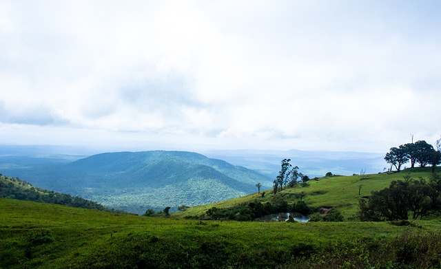 全国青少年校园足球特色学校公布 新疆这些学校、幼儿园上榜!.