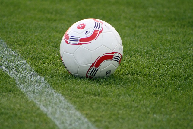 在歐洲範圍 在歐洲範圍