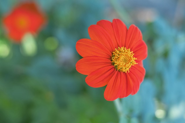 得分王尽管 得分王尽管