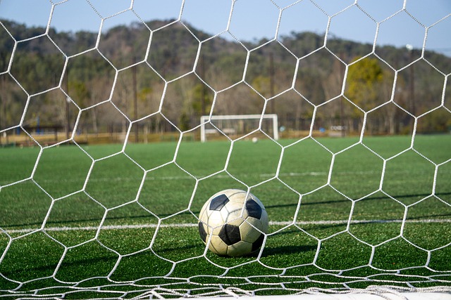 创新的成效 创新的成效