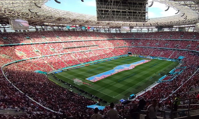 战术多样性 战术多样性