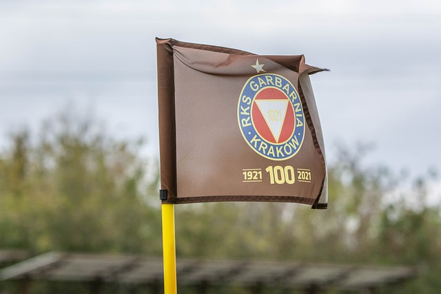 更有助于在 更有助于在