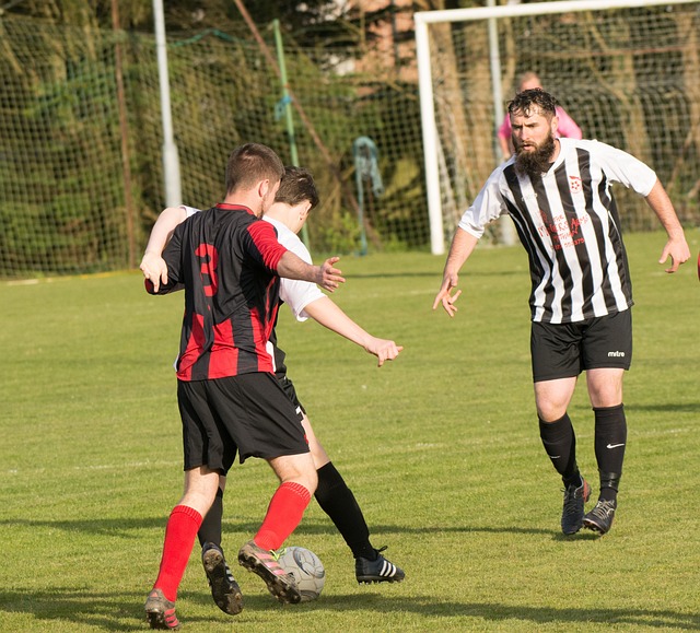 飞行的自由 飞行的自由