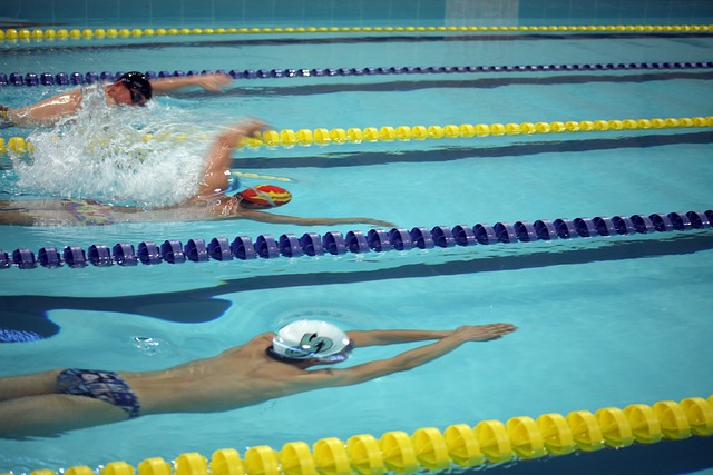 媒体和公众 媒体和公众