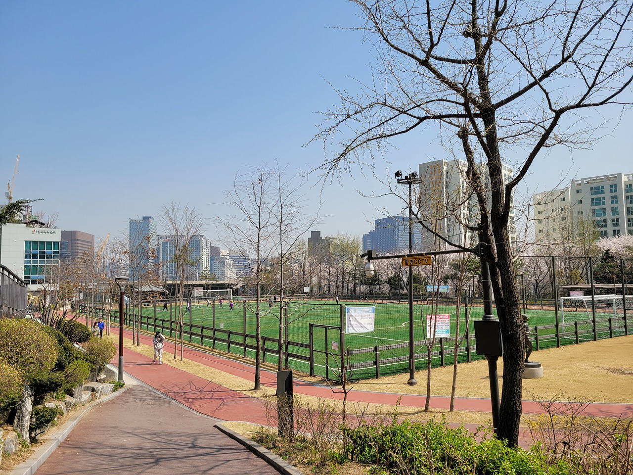 詹姆斯试图 詹姆斯试图