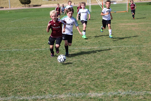 轉導致體能 轉導致體能